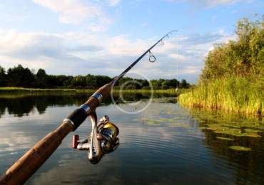 Tips When Buying a Fishing Pole