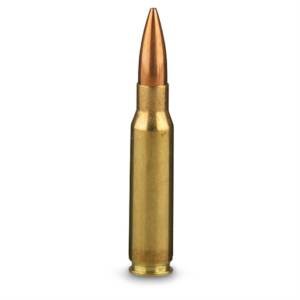 Rifle Ammo