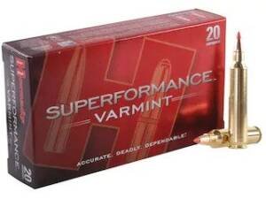 Hornady Superformance Varmint 204 Ruger Ammo 40 Grain Hornady V-Max Polymer Tip Of 500 Rounds